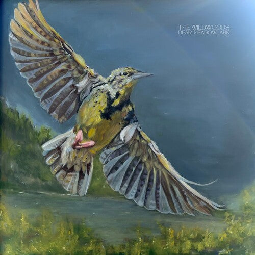 The Wildwoods - Dear Meadowlark