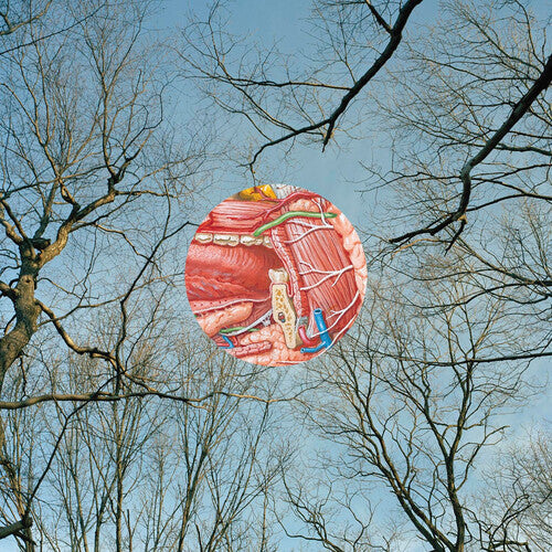 They Might Be Giants - Glean [Red]