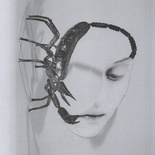 Tortoise - Touch