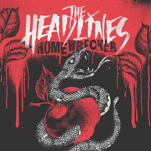 The Headlines - Homewrecker [Black & White Marble Swirl]