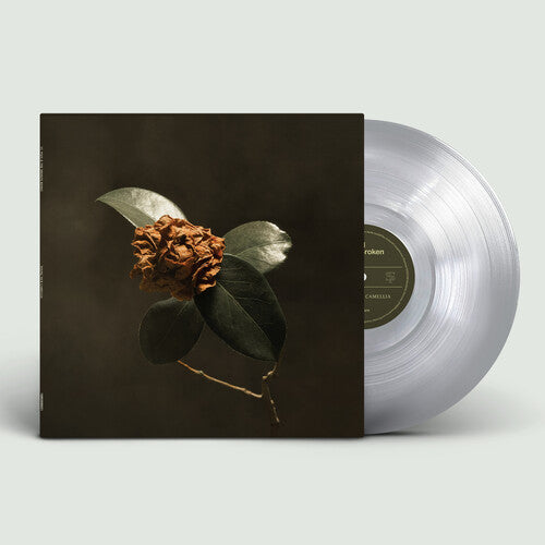 St. Paul & the Broken Bones - Young Sick Camellia [Silver]