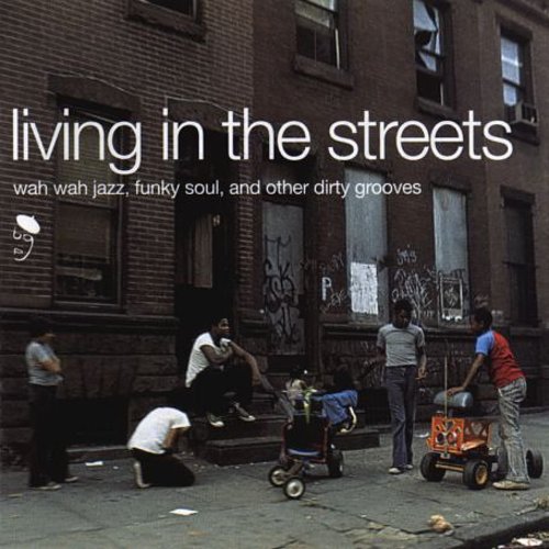 Various Artists - Living in Streets / Various [ Vinyl ]