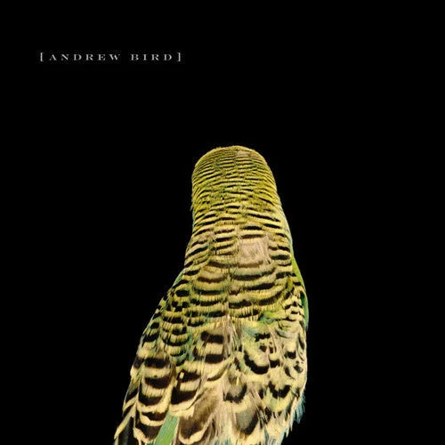 Andrew Bird - Armchair Apocrypha [ Vinyl ]