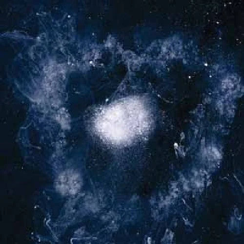 Swans - My Father Will Guide Me Up a Rope to the Sky [ Vinyl ]