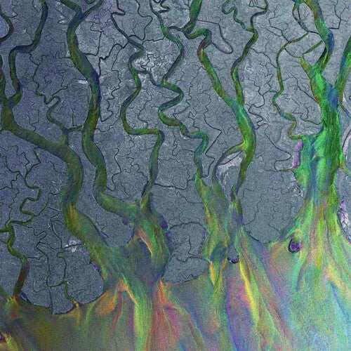 Alt-J - Awesome Wave [ Vinyl ]