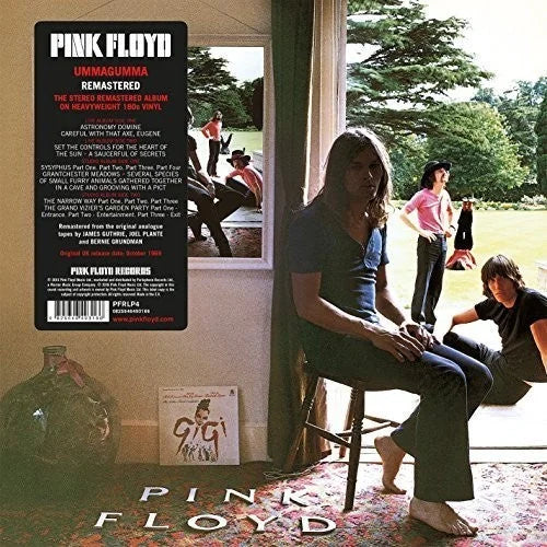 Pink Floyd - Ummagumma [2LP] [ Vinyl ]