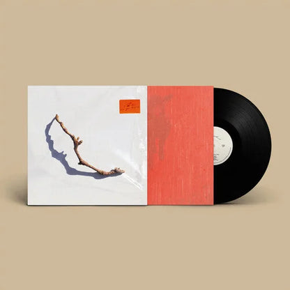 PJ Harvey - I Inside The Old Year Dying [ Vinyl ]