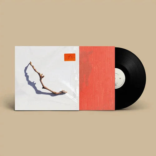 PJ Harvey - I Inside The Old Year Dying [ Vinyl ]