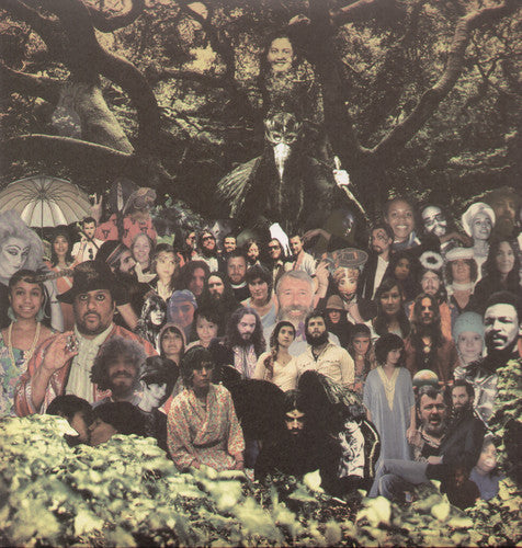 Devendra Banhart - Cripple Crow [ Vinyl ]