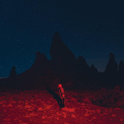 PHOEBE BRIDGERS - Punisher Vinyl { vinyl }