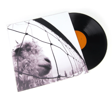 PEARL JAM - VS Vinyl { vinyl }