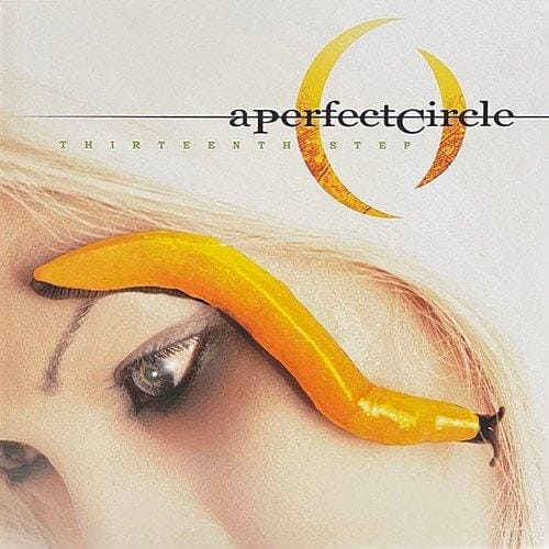A PERFECT CIRCLE - Thirteenth Step Vinyl { vinyl }