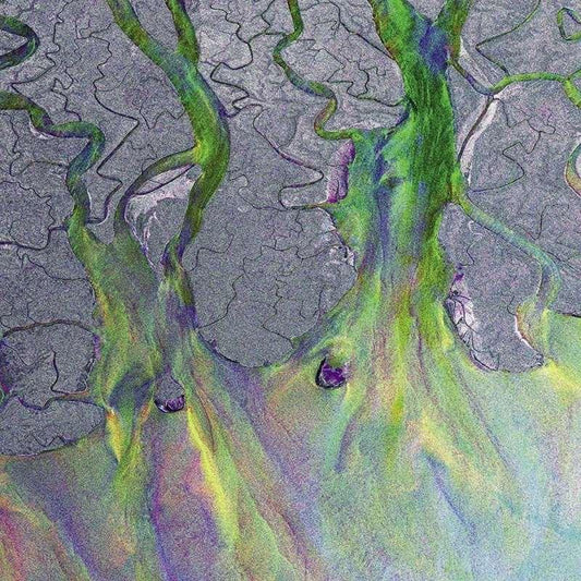 ALT J - An Awesome Wave Vinyl { vinyl }