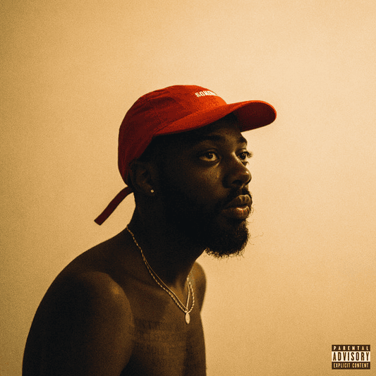 BRENT FAIYAZ - Sonder Son Vinyl { vinyl }