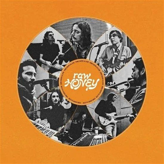 Drugdealer - Raw Honey Vinyl { vinyl }