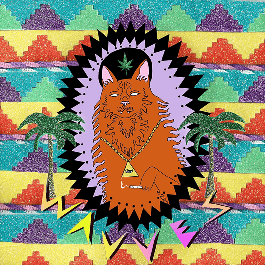 WAVVES - King of the Beach Vinyl { vinyl }