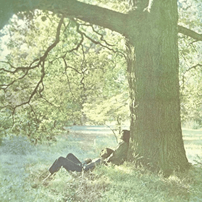 JOHN LENNON - Plastic Ono Band Vinyl { vinyl }