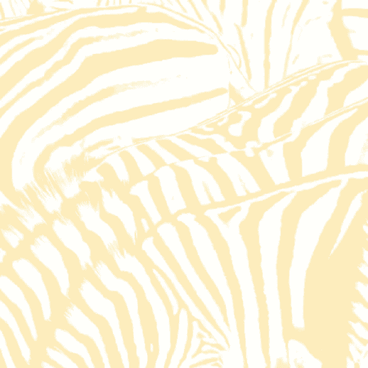 BEACH HOUSE - Teen Dream Vinyl { vinyl }