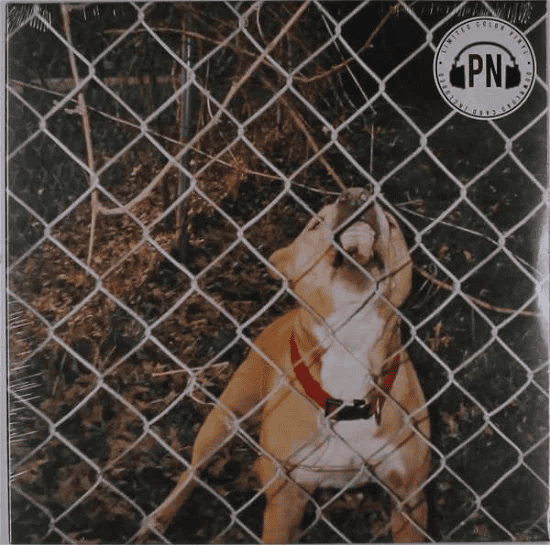 KNOCKED LOOSE - Pop Culture Vinyl { vinyl }