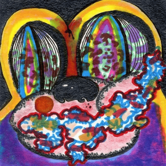 CAGE THE ELEPHANT - Thank You, Happy Birthday Vinyl { vinyl }