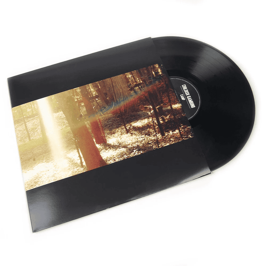 CHILDISH GAMBINO - Camp Vinyl { vinyl }