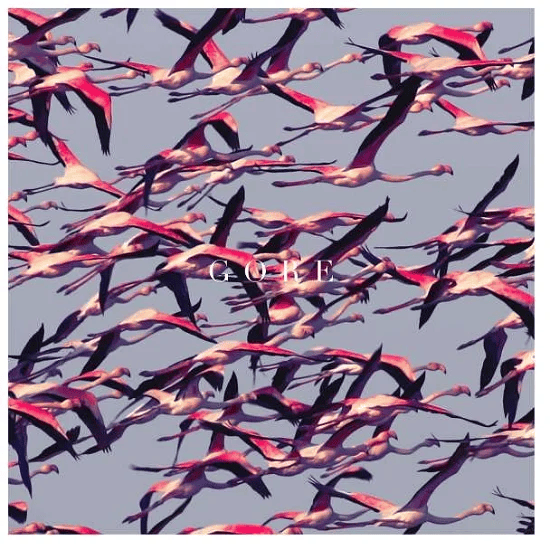 DEFTONES - Gore Vinyl { vinyl }