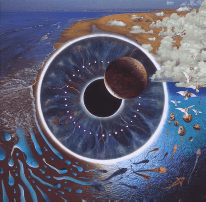 PINK FLOYD - Pulse Vinyl Box Set { vinyl }