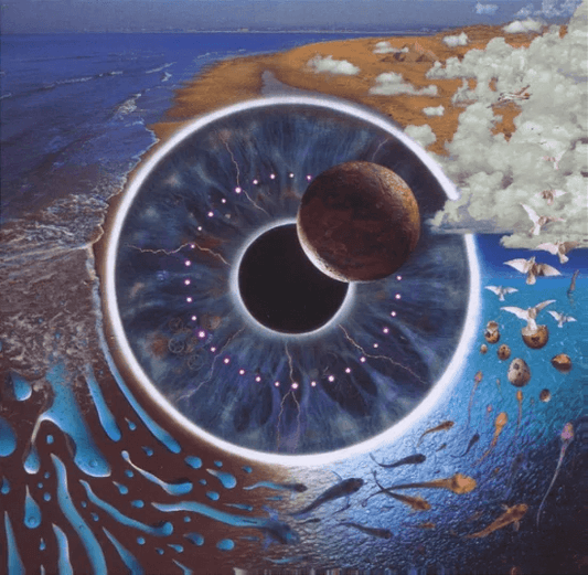 PINK FLOYD - Pulse Vinyl Box Set { vinyl }