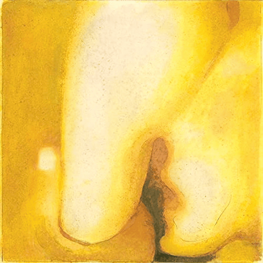 THE SMASHING PUMPKINS - Pisces Iscariot Vinyl { vinyl }
