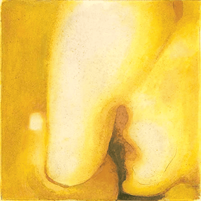 THE SMASHING PUMPKINS - Pisces Iscariot Vinyl { vinyl }