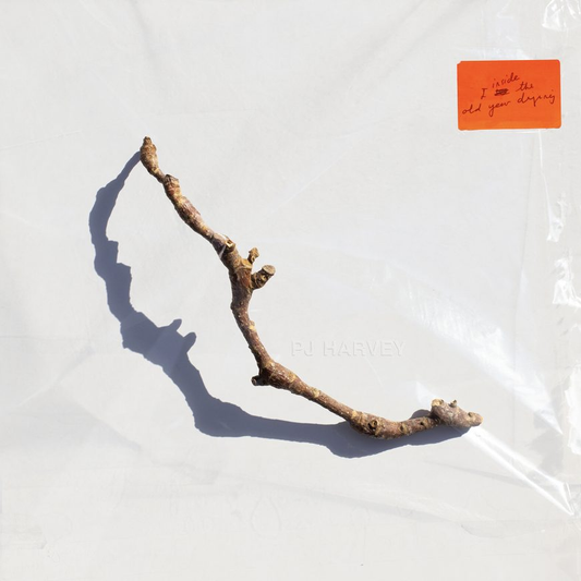PJ HARVEY - I Inside the Old Year Dying Vinyl { vinyl }