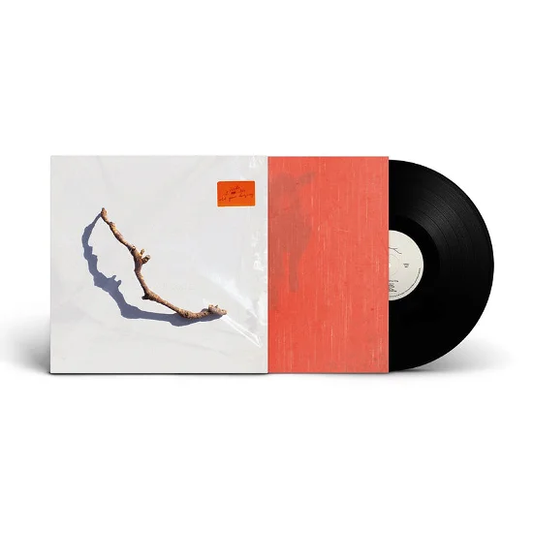 PJ HARVEY - I Inside the Old Year Dying Vinyl { vinyl }