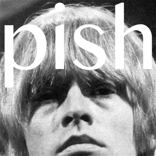 BRIAN JONESTOWN MASSACRE - Mini Album Thingy Wingy Vinyl { vinyl }