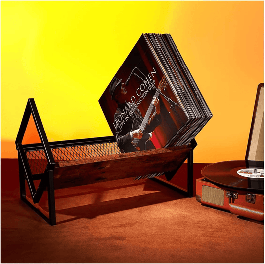 HOYRR - Vinyl Record Storage Holder