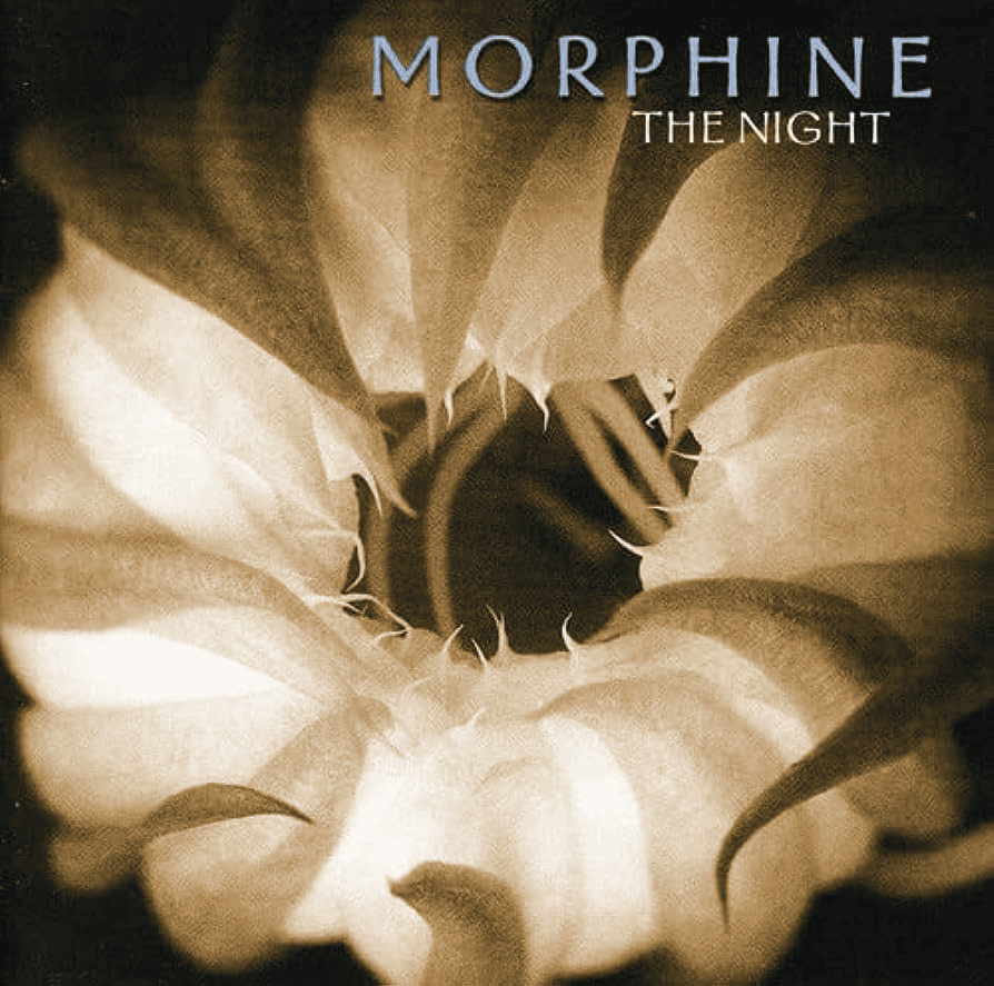 MORPHINE - The Night Vinyl { vinyl }