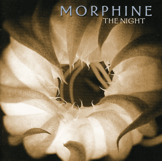 MORPHINE - The Night Vinyl { vinyl }