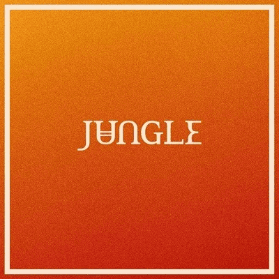 JUNGLE - Volcano Vinyl { vinyl }