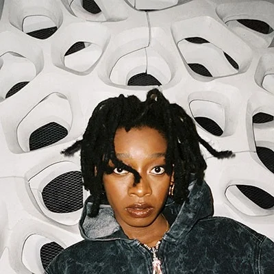 LITTLE SIMZ - No Thank You Vinyl { vinyl }