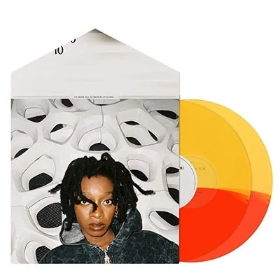 LITTLE SIMZ - No Thank You Vinyl { vinyl }