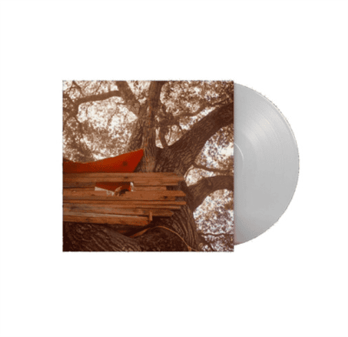 THE BACKSEAT LOVERS - Waiting To Spill Vinyl { vinyl }