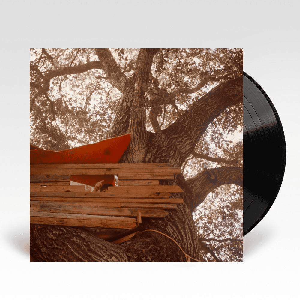 THE BACKSEAT LOVERS - Waiting To Spill Vinyl { vinyl }