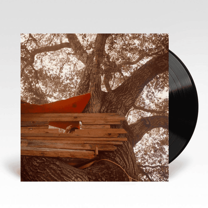 THE BACKSEAT LOVERS - Waiting To Spill Vinyl { vinyl }