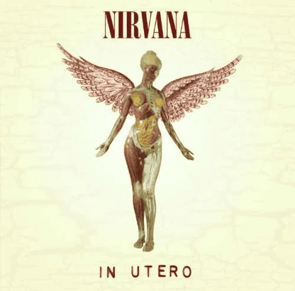 NIRVANA - In Utero 30th Anniversary Vinyl { vinyl }
