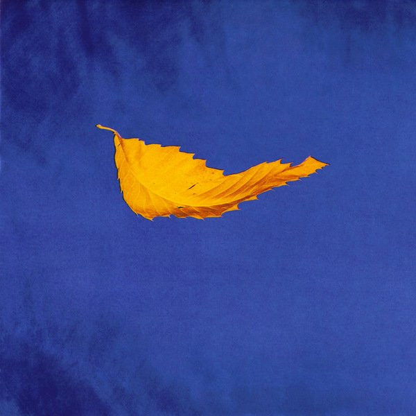 NEW ORDER - True Faith Vinyl { vinyl }