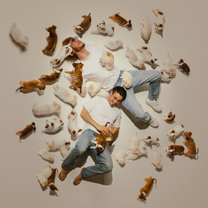 YUNG GRAVY / BBNO$ / BABY GRAVY - Baby Gravy 3 Vinyl { vinyl }