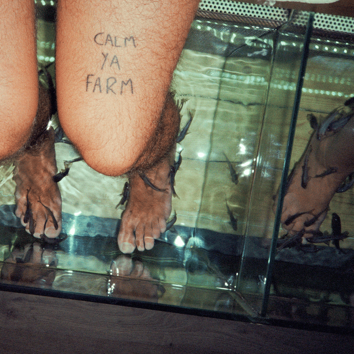 THE MURLOCS - Calm Ya Farm Vinyl { vinyl }