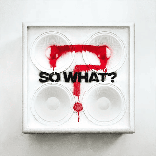 WHILE SHE SLEEPS - So What? Vinyl { vinyl }