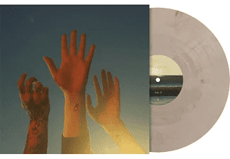 BOYGENIUS - The Record Vinyl { vinyl }