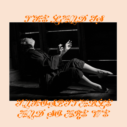 MITSKI - The Land is Inhospitable and So Are We Vinyl { vinyl }
