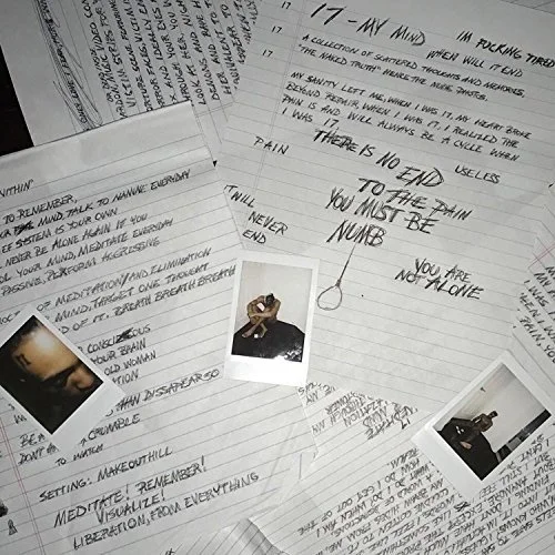 XXXTENTACION - 17 Vinyl { vinyl }
